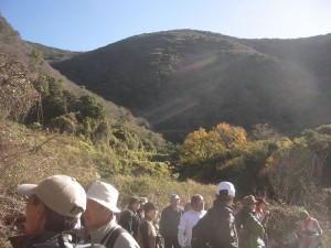 平郡には長深山（４５２m）深山（４６８m）がある