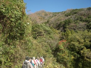 秋らしい景色の中を進んで行く