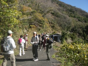 日当りの良い縦走路で休憩