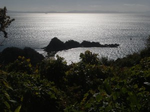 平郡の名所「五十谷（いや）三島