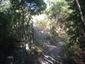 登山道の様子