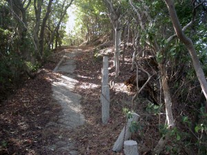 登山道の様子