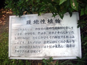 暖地性植物についての説明を読んでみよう