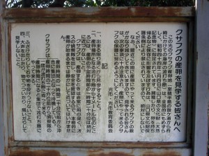 以前は杵崎神社の境内から海辺におりていたが、現在は立ち入り禁止