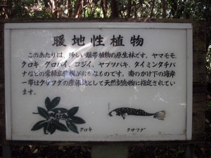 暖地性植物案内板