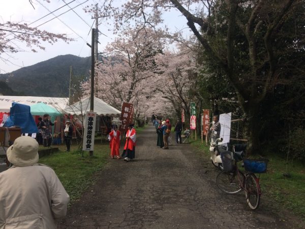 神社参道の桜並木
左側が神楽舞会場