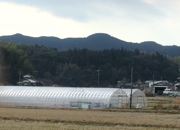 麻郷から望む千坊山