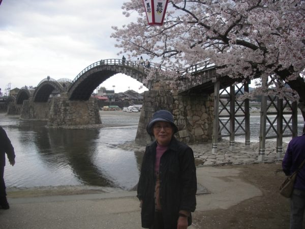 錦帯橋の桜